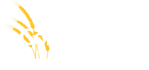 The Ed Stelmach Community Foundation